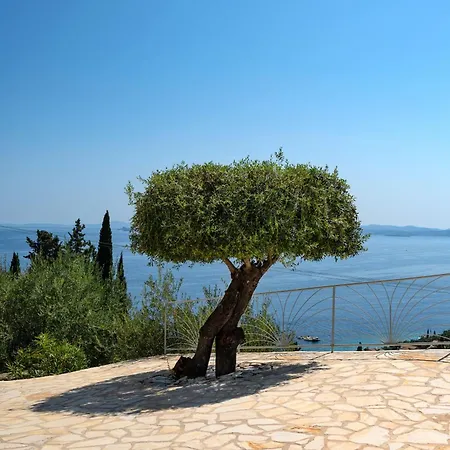 Vista Mare Assinia 别墅 Agní